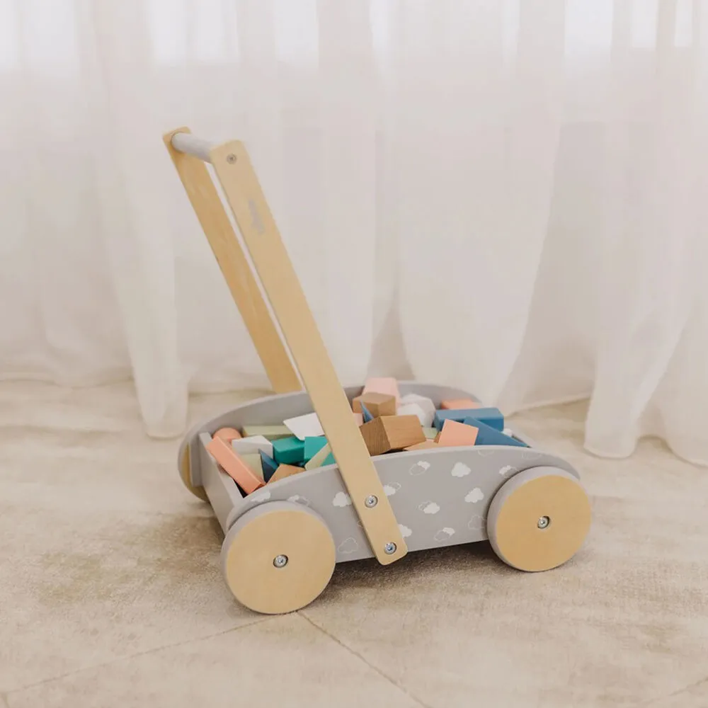 Bubble Wooden Baby Push Cart & Walker with 45 Building Blocks