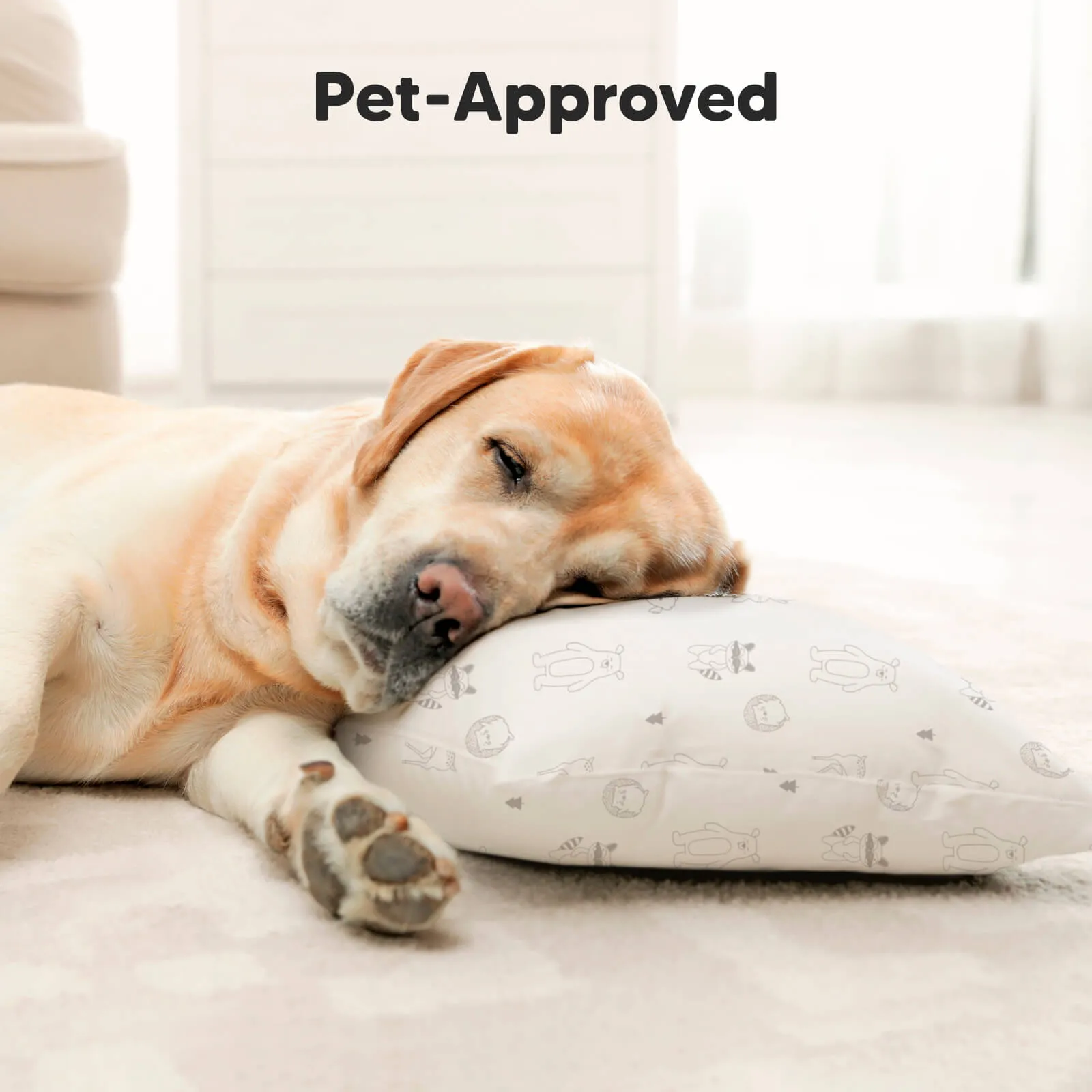 Jumbo Toddler Pillow with Pillowcase