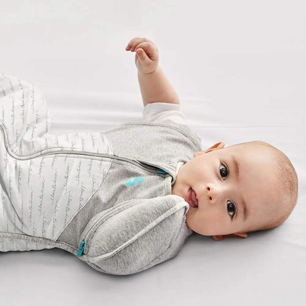 Love To Dream Swaddle UP Transition Bag 2.5 tog
