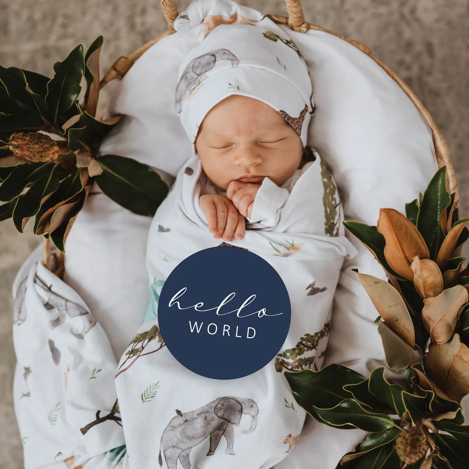 Milestone Cards - Safari & Navy