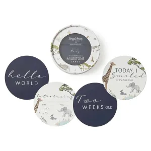 Milestone Cards - Safari & Navy