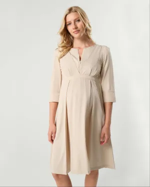 Sarah Empire Maternity & Nursing Dress