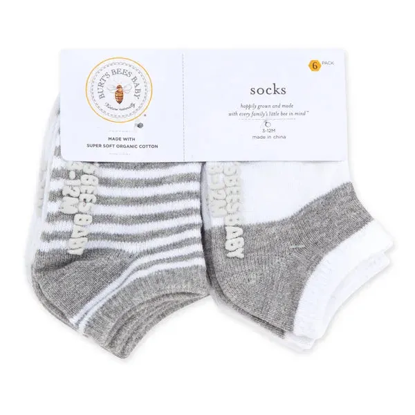 Solid & Stripes Organic Cotton Baby Ankle Socks 6 Pack - Heather Grey